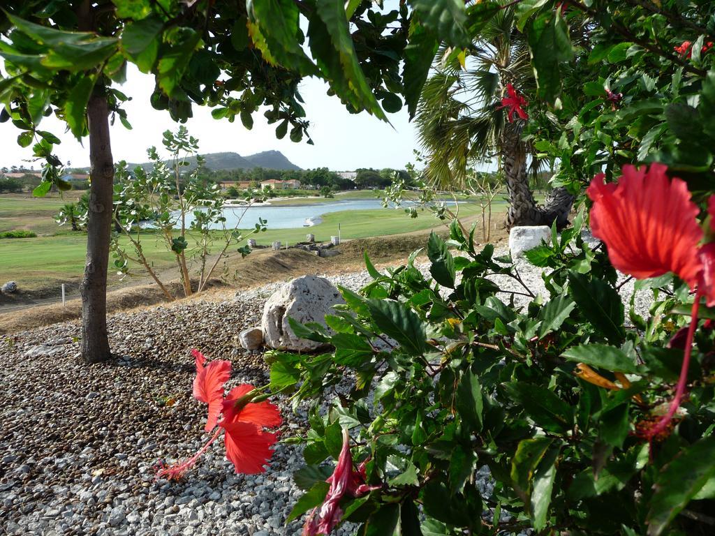 Blue Bay Beach Villa At Pool And Golfcourse Extérieur photo